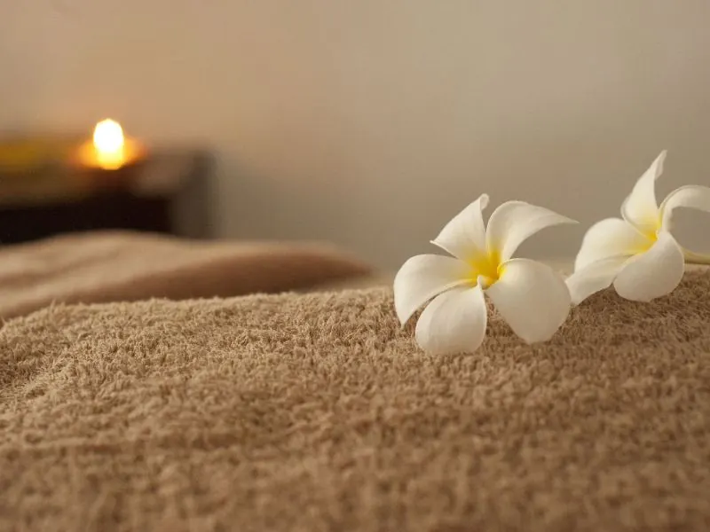 spa, spa beograd,, spa dan